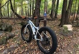 Resized Mountain Bike