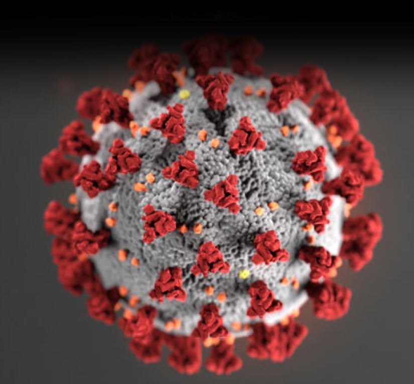 Coronavirus Disease News Flash Thumbnail