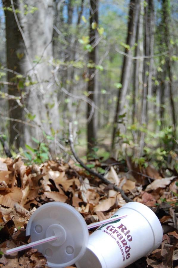 A soda cup laying on the ground in the woods