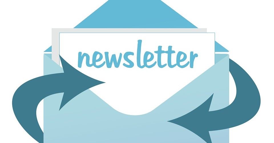 The word newsletter written in blue
